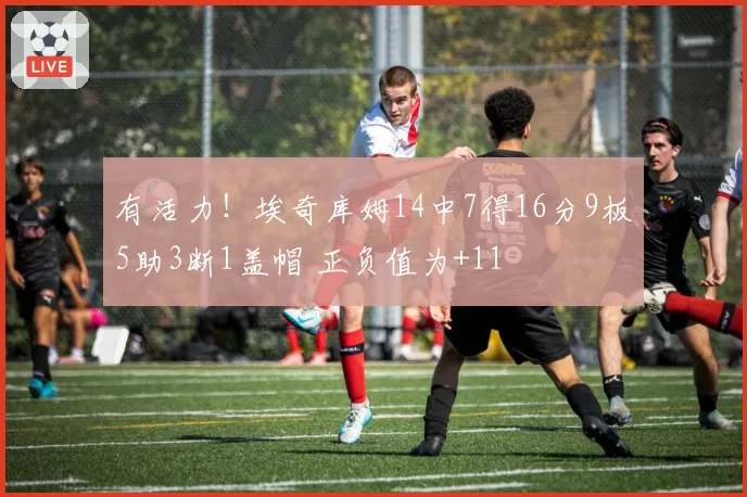 有活力!埃奇库姆14中7得16分9板5助3断1盖帽 正负值为+11