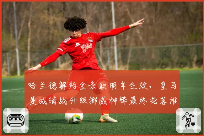 哈兰德解约金条款明年生效，皇马曼城暗战升级挪威神锋最终花落谁家？